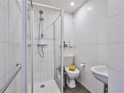 Picture 20